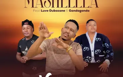 Download Waya waya By MASHELELA