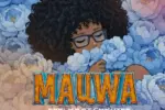 Download Mauwa By Seelike Ft. <b>Chikuzee</b>